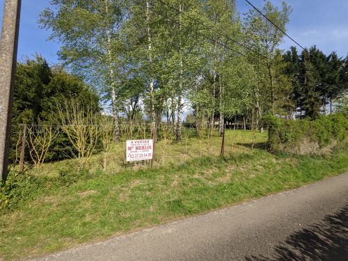  en  sur  14974.jpg
